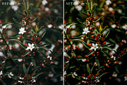 Floral Lightroom Presets, a Layer Style Add-On by Rapita Photography© (Thumbnail 7 of 11)