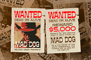 Wild Rango - Vintage Western Font, a Slab Serif Font by ikiiko (Thumbnail 3 of 7)