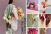 Bloom Atelier | 345 stock images, a Nature Photo by Tale.Haus (Thumbnail 11 of 20)