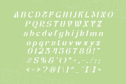 Posisy - Luxurious Serif Font, a Serif Font by Pikgura (Thumbnail 4 of 8)