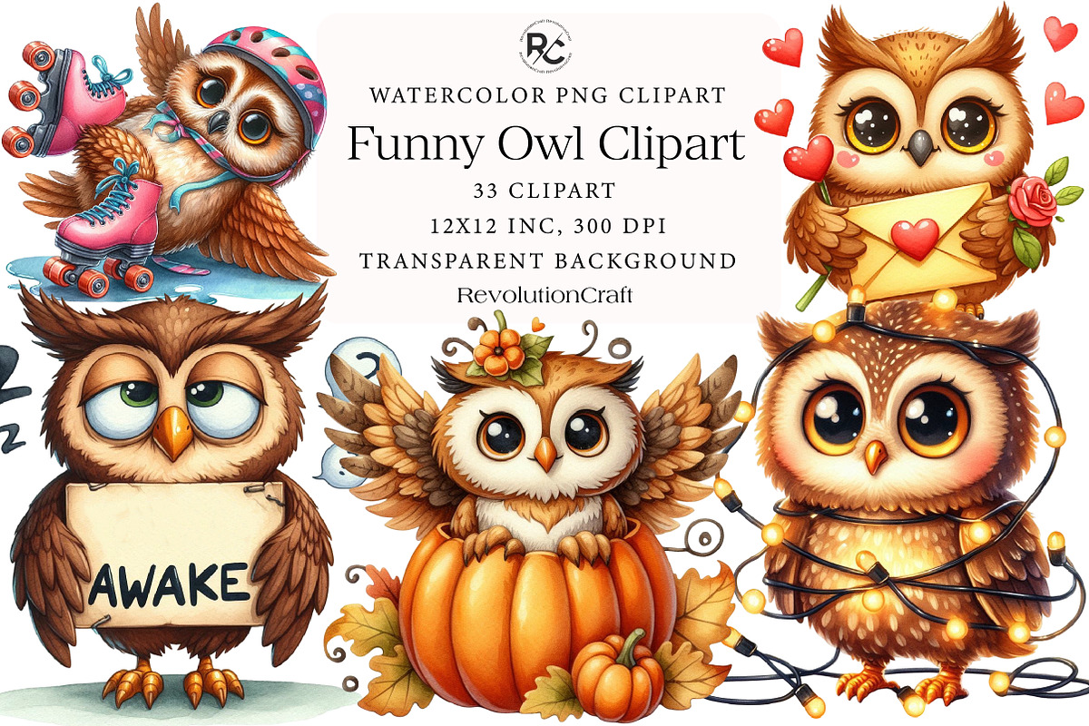 Watercolor Funny Owl Clipart, an Illustration by OK Design (Photo 1 of 5)