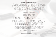 Camilla Calligraph | Script Font, a Handwritten Font by Scratchones (Thumbnail 6 of 7)