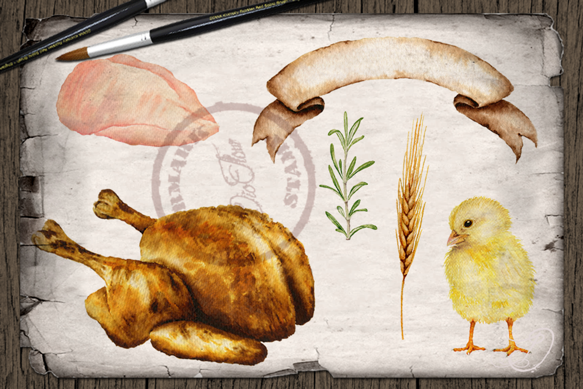 Farm Chicken Watercolor Illustration, a Decorative Illustration by DioFlow (Photo 5 of 7)