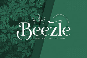 Beezle Modern Serif Font