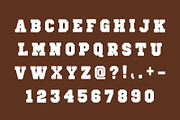 Brooklyn Sport – Bold Athletic Font, a Slab Serif Font by Fourteen Letter (Thumbnail 5 of 5)