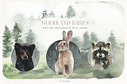Woodland Babies Wild Animals Clipart, an Animal Illustration by whiteheartdesign (Thumbnail 1 of 28)