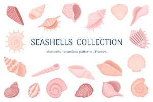 Seashells Collection