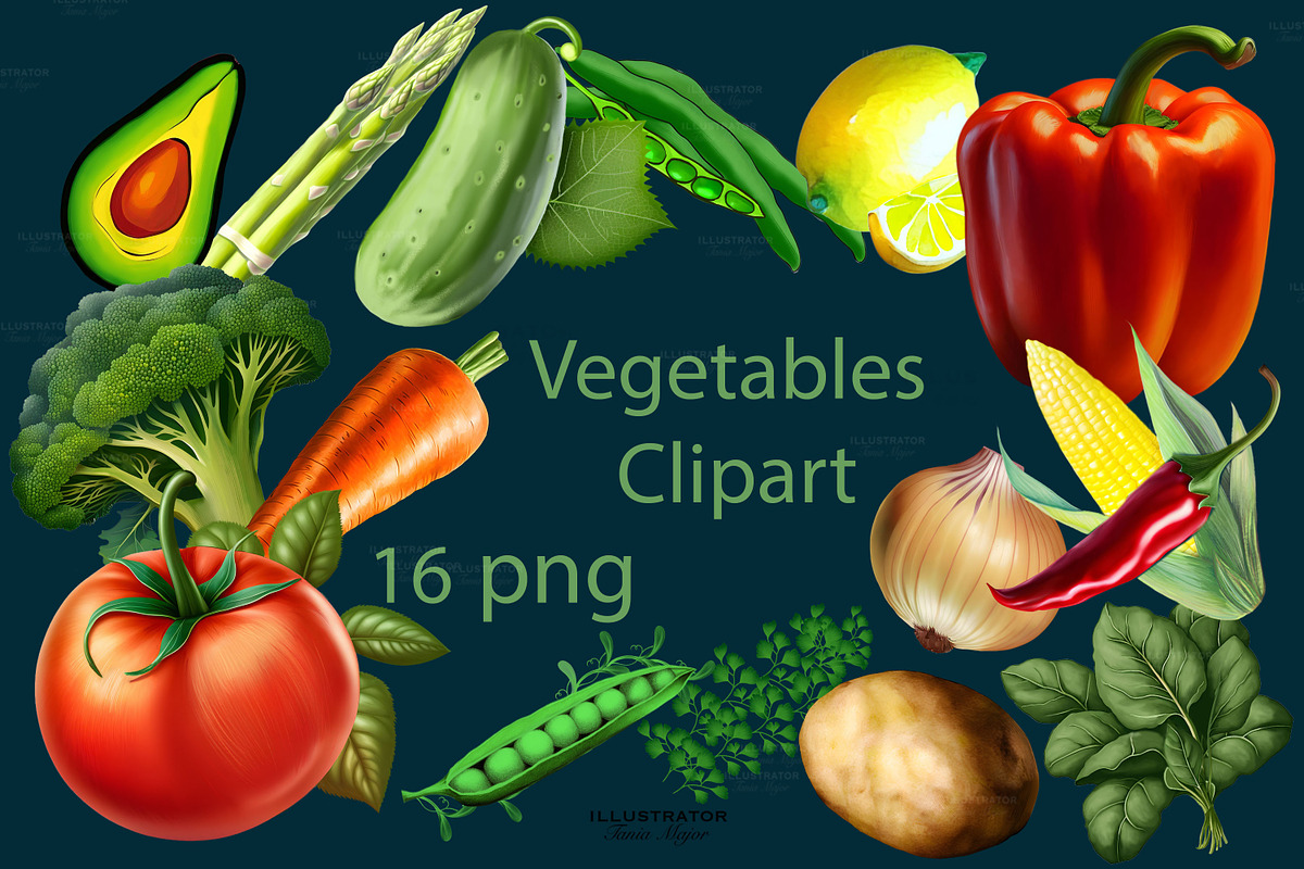 Vegetables Clipart, healthy food, a Food Illustration by MajorArtTm (Photo 1 of 5)