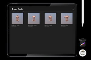 Procreate 3d Models 4K Torso Body