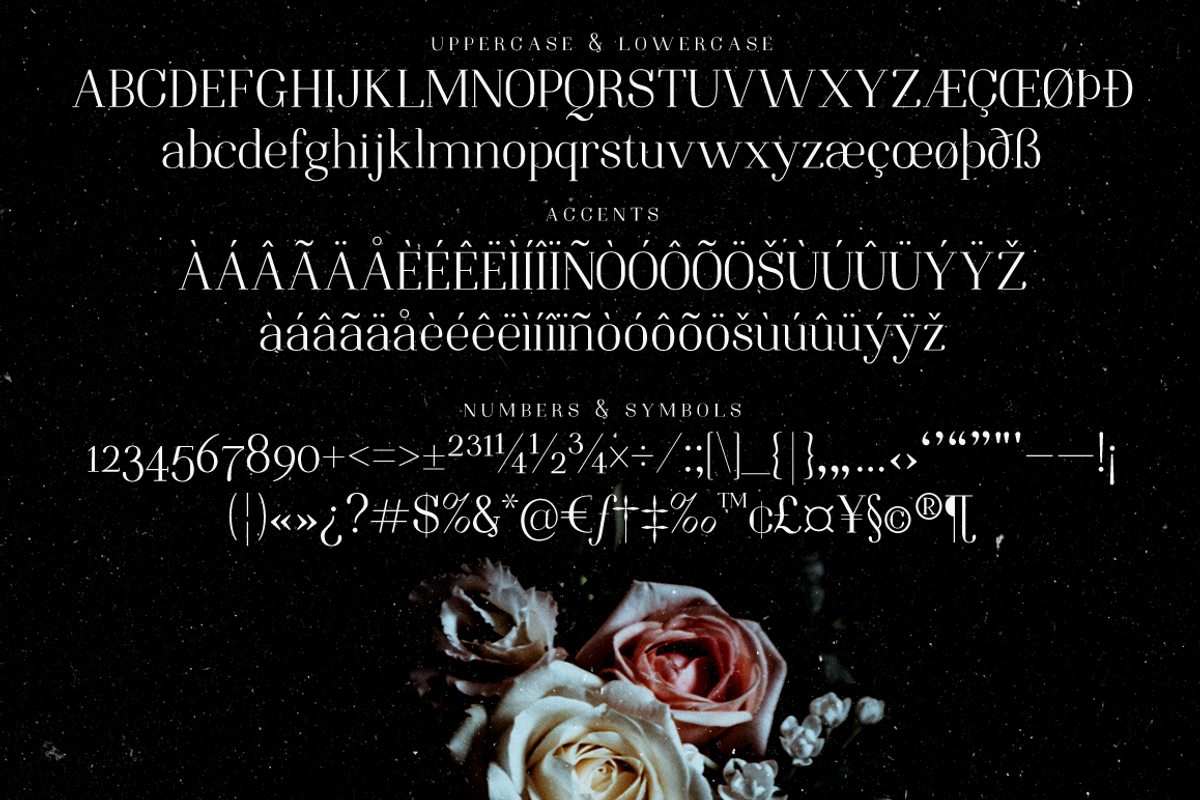 Night Still Comes Lite serif font preview 3