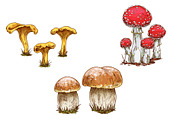 Autumn. New season Illustration Pack, an Object Graphic by Schumacher Shop (Thumbnail 7 of 9)
