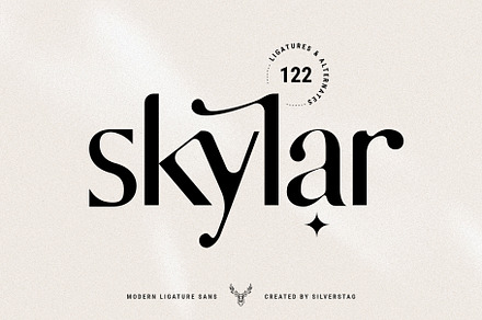 skylar - modern ligature sans font, a Sans Serif Font by SilverStag Type Foundry