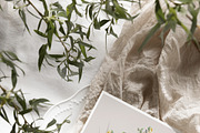 AIRY Watercolor Spring Collection, a Decorative Illustration by Muse Artist (Thumbnail 15 of 18)