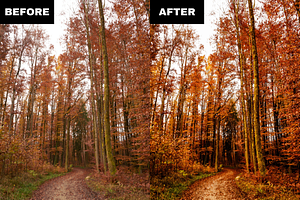 Stunning Landscape Lightroom Presets