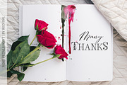 Rose Petals. Font duo + Bonuses., a Script Font by Red Ink (Thumbnail 13 of 13)