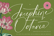 Josephine Octavia Stylish Font, a Script Font by stylishtype.co (Thumbnail 1 of 20)