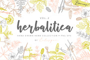 Herbalitica Vol.2 Flower Set, a Healthcare Illustration by eclosque (Thumbnail 1 of 12)