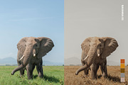 25 Safari Lightroom Presets LUTs, a Preset Add-On by SparkleStock (Thumbnail 5 of 15)