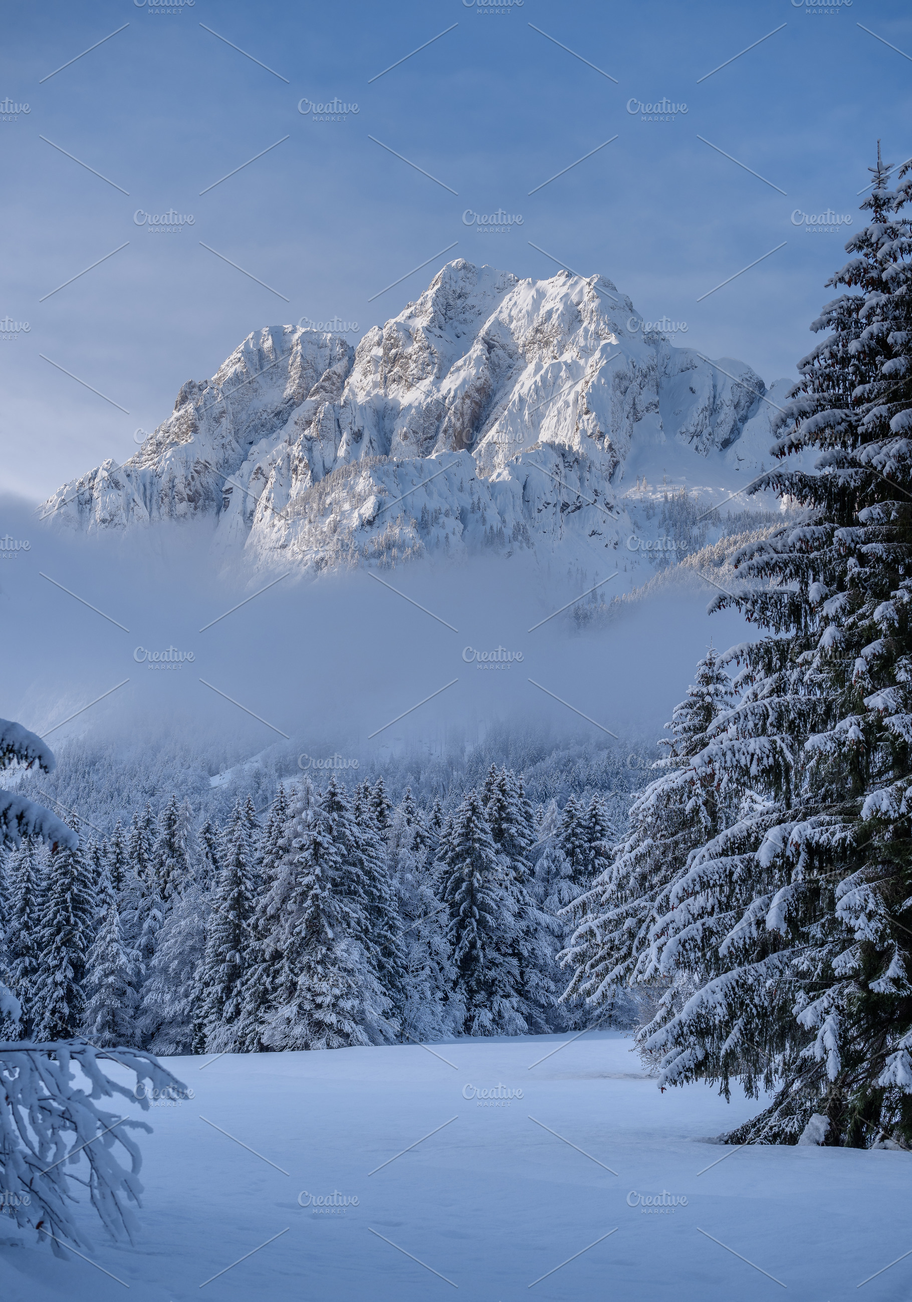 Winter morning in the forest and mountains, a Nature Photo by Dreamy Pixel