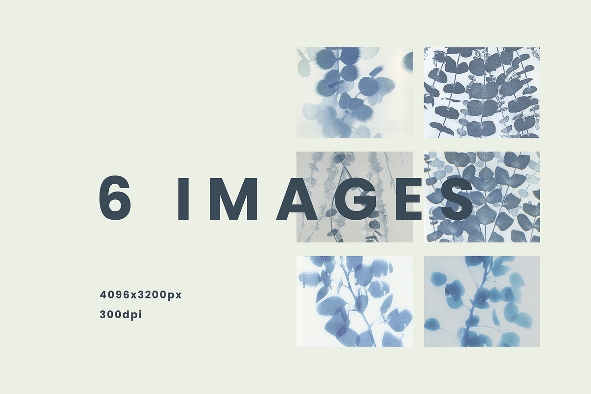 Blue Eucalyptus Cyanotype Textures, a Background Graphic by Take Care Creative (Photo 2 of 6)