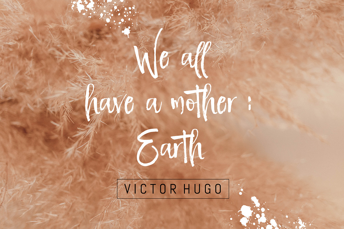 Ravishing Brush Font preview 7