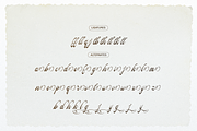 Pitholica Delicate Classic Script, a Script Font by gracetype_studio (Thumbnail 11 of 11)