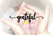 Farmhouse Script, a Script Font by Bosstype Studio (Thumbnail 7 of 7)