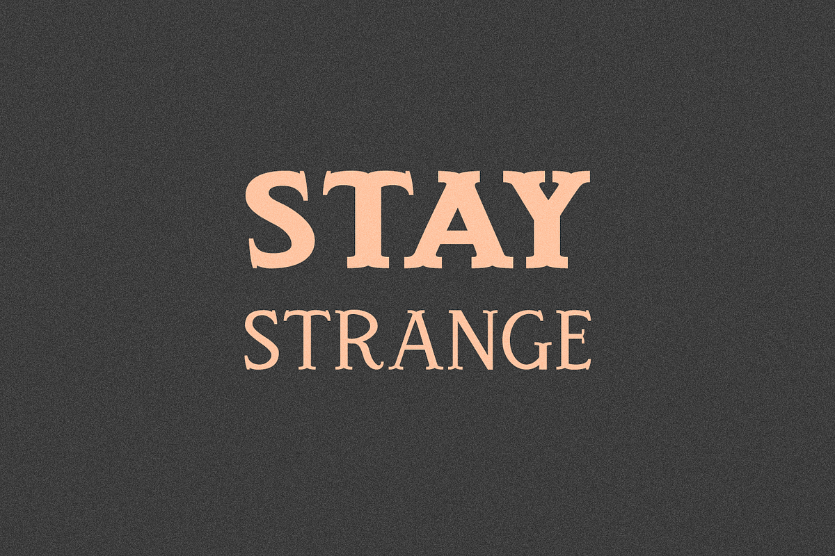 Spirit Box Serif Type Family, a Serif Font by Beck McCormick (Photo 18 of 20)