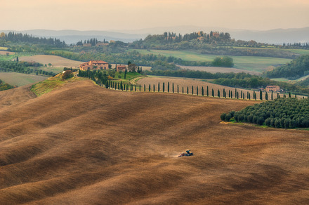 Villa agriturismo baccoleno web containing agriculture, agriturismo, and, a Nature Photo by naumenkophotographer
