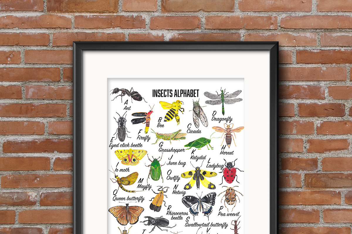 Insects Alphabet & clipart, an Animal Illustration by Visual Animal (Photo 3 of 5)