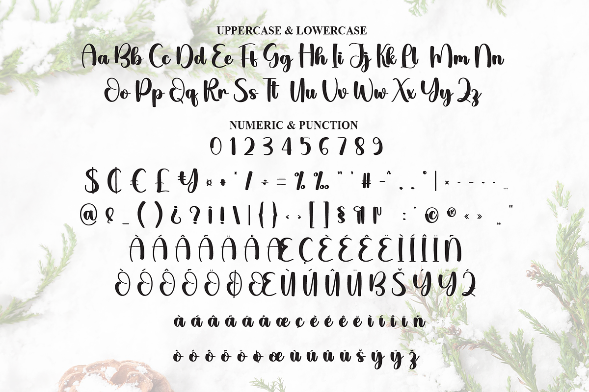 Winter | Script Font, a Handwritten Font by Scratchones (Photo 7 of 9)