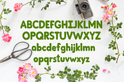 Springtime Font, a Symbol Font by LivelyAutumn11.11 (Thumbnail 2 of 4)