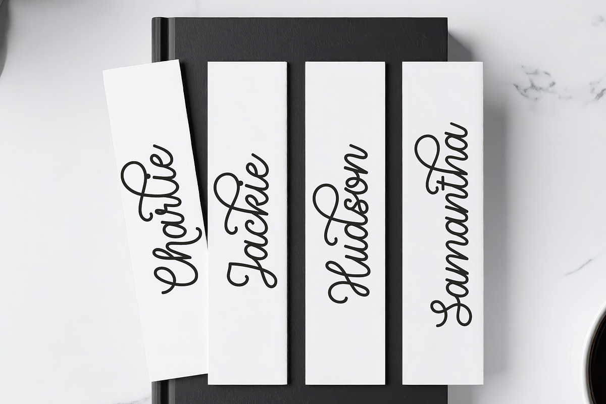 Nebraska Bridge - Monoline Cursive, a Script Font by Airotype (Photo 4 of 13)