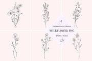 PSD 6 Hand Drawn Wildflower Elements, an Illustration by Bilbie Artwork (Thumbnail 1 of 7)