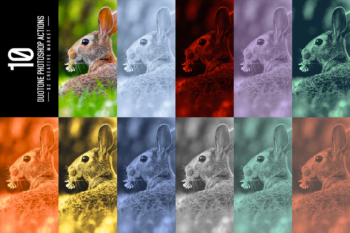 10 Duotone Photoshop Actions, an Action Add-On by P-G-H (Photo 2 of 12)