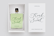 Adventur Kintent Stylish Calligraphy, a Script Font by stylishtype.co (Thumbnail 11 of 20)