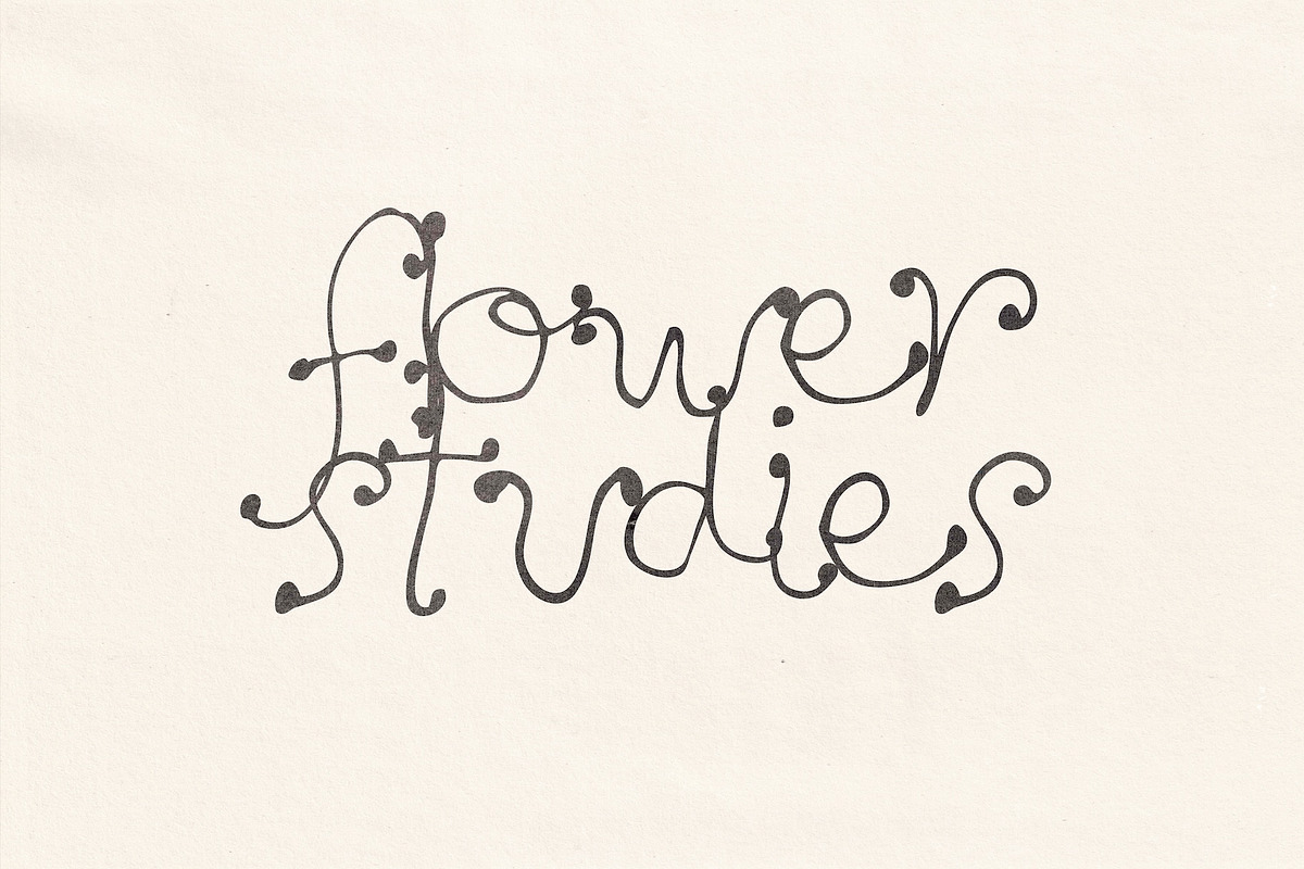 Dandelion Hand Drawn Font, a Handwritten Font by Madeline ODonoghue Design (Photo 2 of 11)