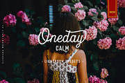 Oneday : Calm Lightroom presets, an Action Add-On by Emyself Design (Thumbnail 1 of 7)
