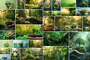 Recycling - 104 images, a Nature Photo by Handmadefont (Thumbnail 2 of 14)