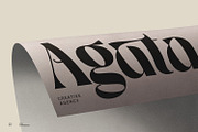 Praya - Modern Branding Font, a Serif Font by creativemedialab (Thumbnail 2 of 17)