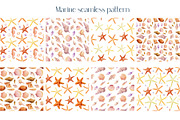 Watercolor starfish, shells, crabs, an Animal Illustration by Hanna Hryharenka (Thumbnail 4 of 12)