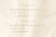 Rainfall - Elegant Display Font, a Sans Serif Font by Sensatype (Thumbnail 15 of 16)