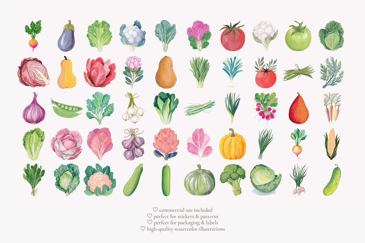 Watercolor vegetable clipart set, a Decorative Illustration by Patishop Art (Photo 7 of 8)