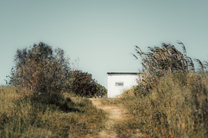 White house with loquat tree, an Architecture Photo by SkyNext