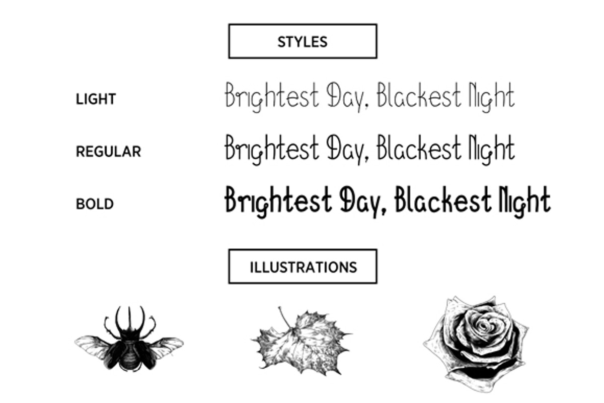 December Typeface (70% Off) preview 5