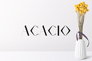 Acacio Serif 2 Font Family Pack, a Serif Font by Creativetacos (Thumbnail 1 of 6)