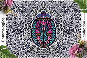 Entomological collection insect, a Decorative Illustration by Moonflora (Thumbnail 5 of 13)