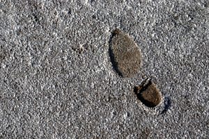Footprint in granular, textured sand, a Person Photo by Schreibikus