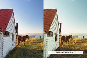 20 Equestrian Lightroom Presets LUTs