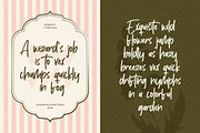 Hewnify, a Script Font by graphicook (Thumbnail 7 of 10)